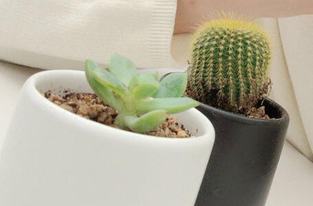 ULTS: Enhypen (Jungwon and Injang), Ive (Rei), NJZ (Minji, Blackpink (Jennie)